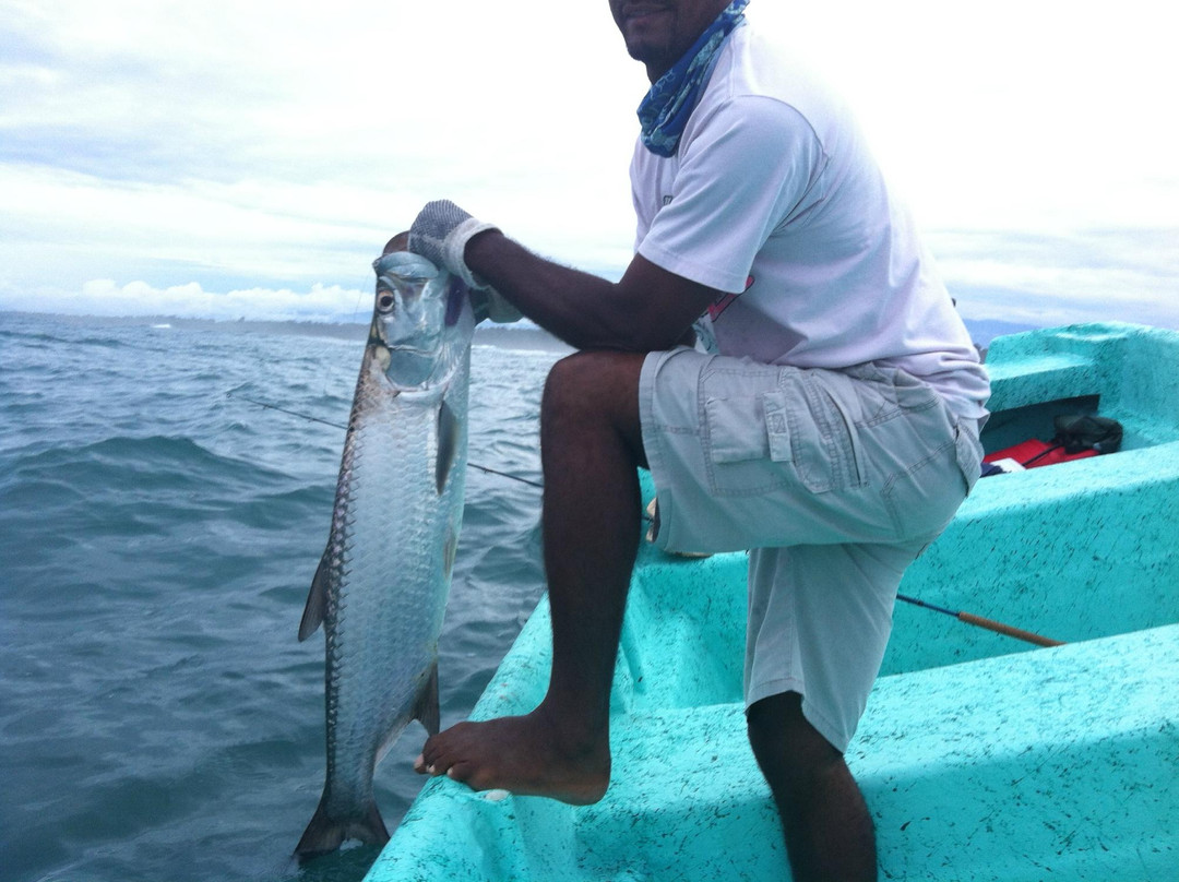 Tarponville