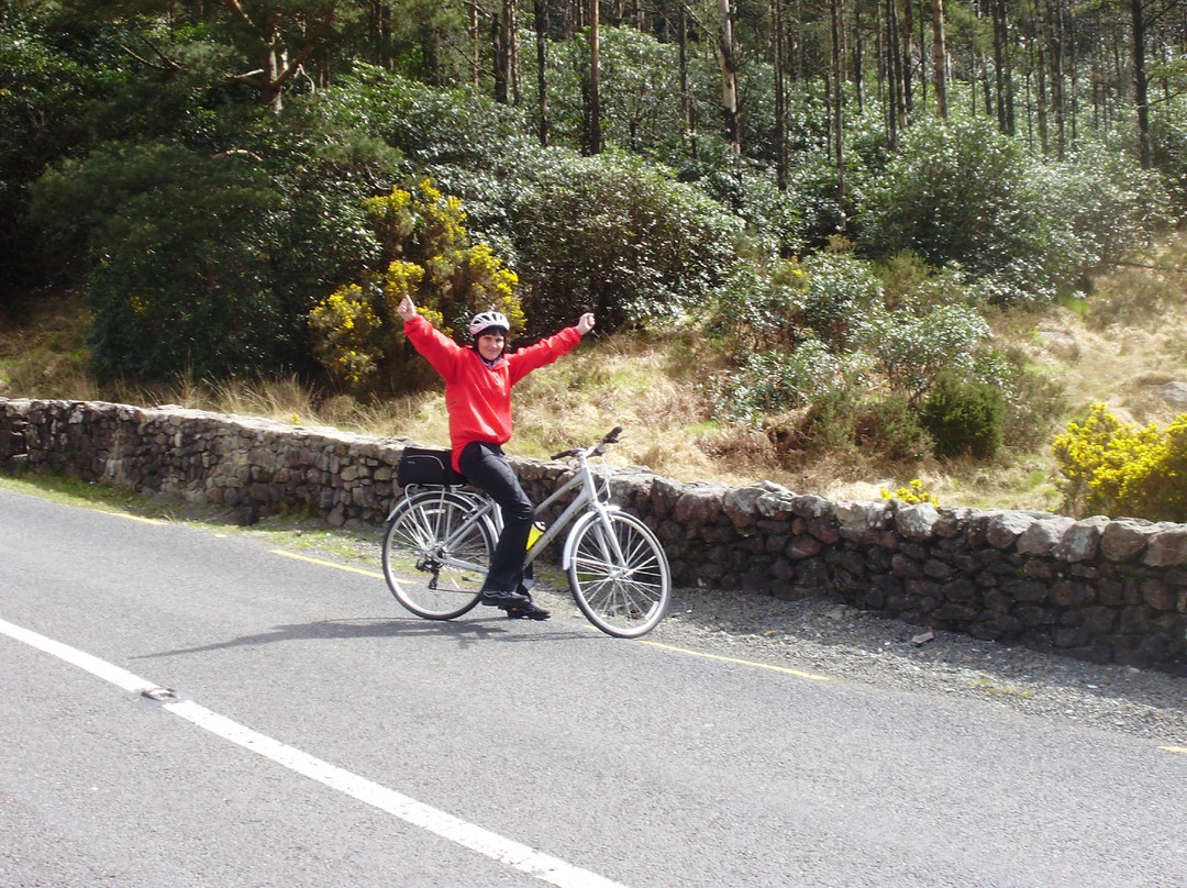 Lismore Cycling Holidays- Day Tours-邓加文必去景点