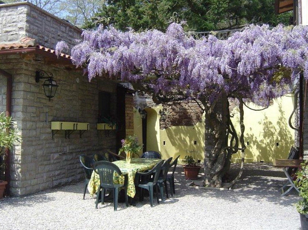 Tuoro sul Trasimeno酒店住宿-Villa Pellegrino