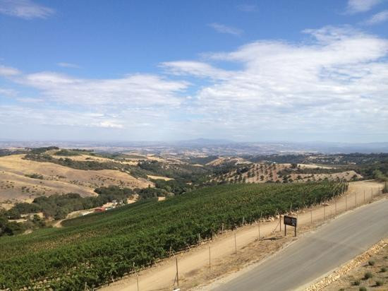DAOU Vineyards景点图片