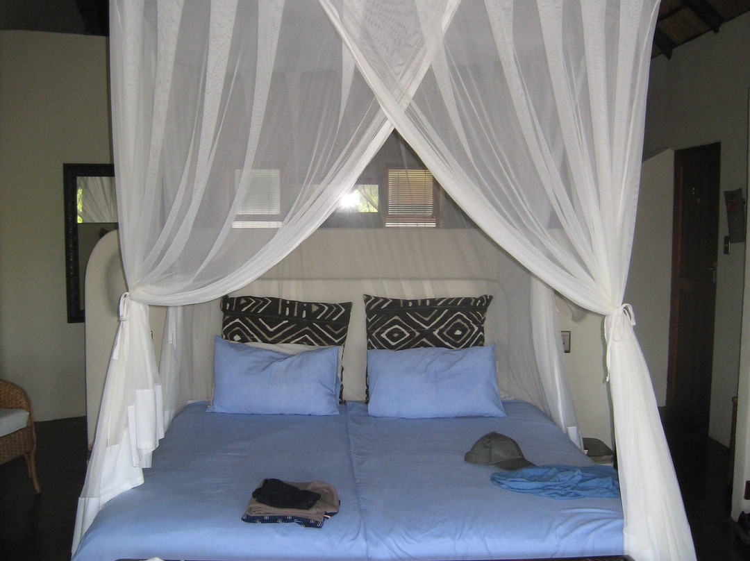 Balule River Camp