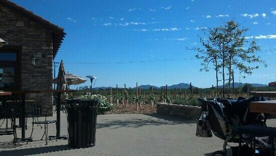 Lorimar Vineyards and Winery-特曼库拉必去景点