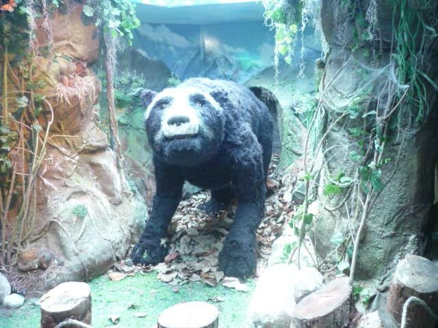 Museum of Science and Technology-梅里达市必去景点
