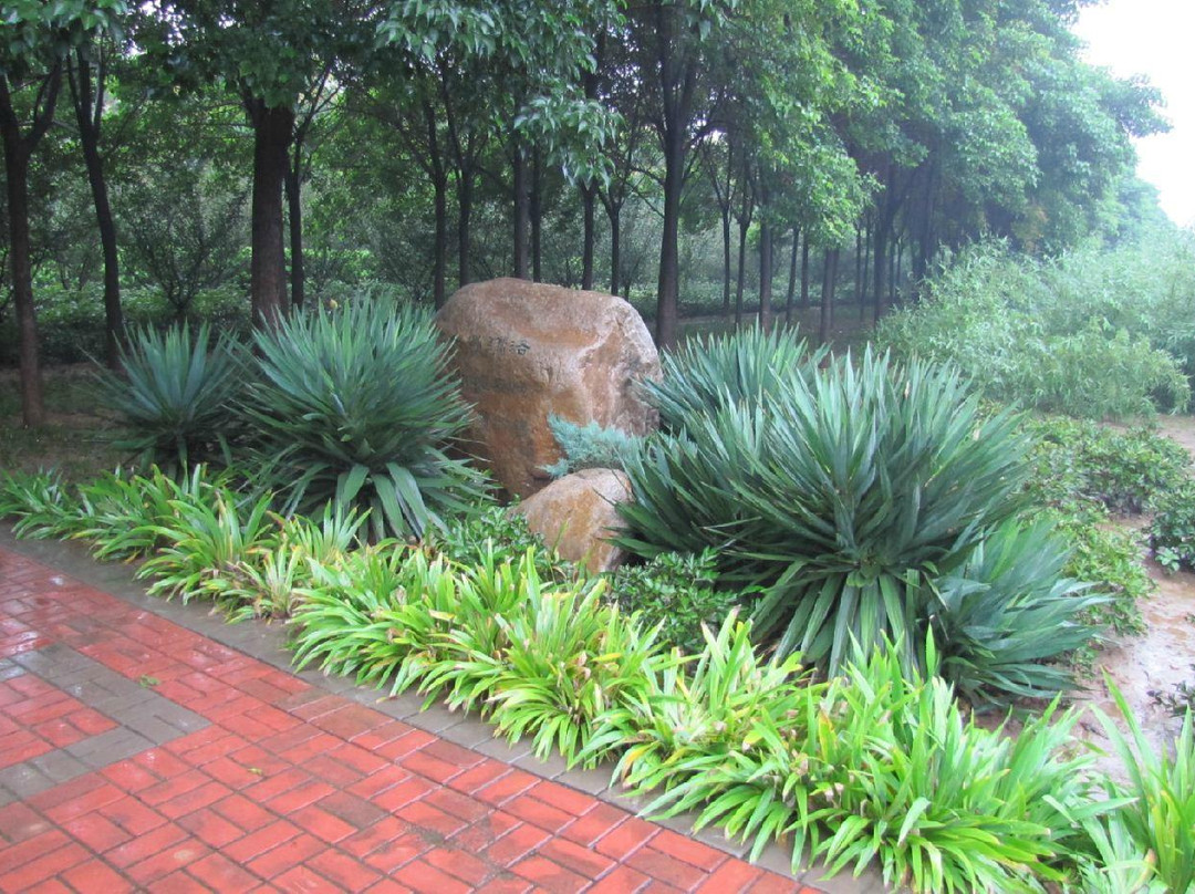 洛阳国际牡丹园-洛阳市必去景点