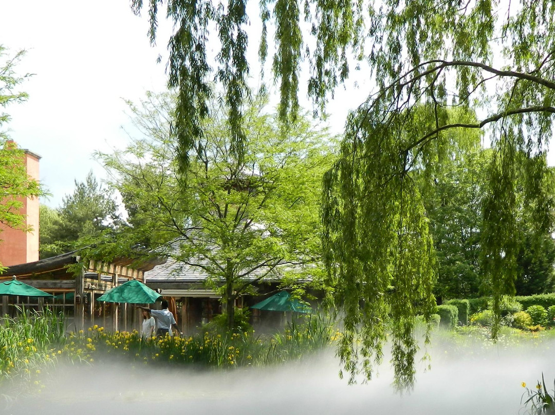 Grounds For Sculpture景点图片