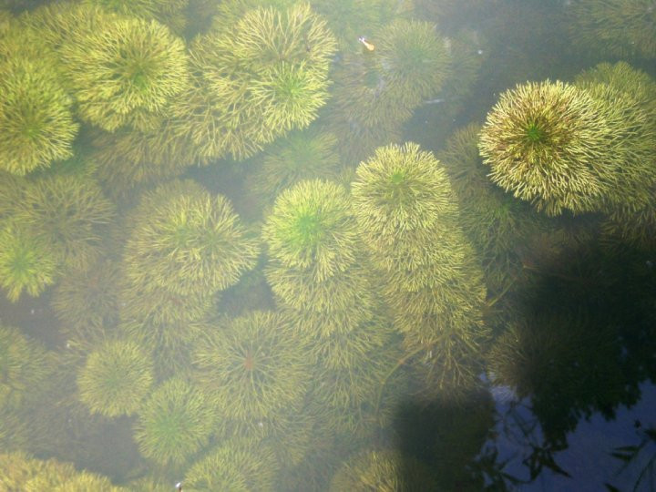 热带香料园-巴巷海滩必去景点