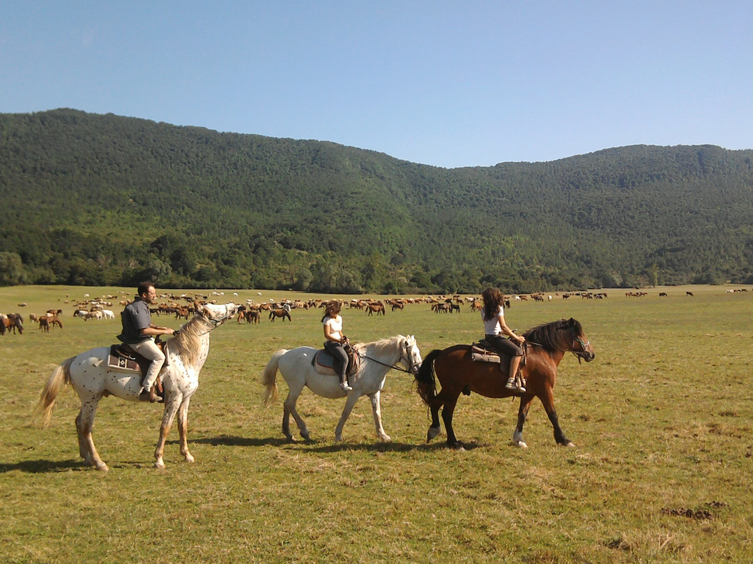 Ranch Brionna-Castel di Sangro必去景点