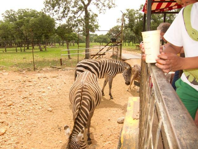 Exotic Resort Zoo, Inc.-Johnson City必去景点