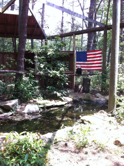 Cedar Run Wildlife Refuge景点图片
