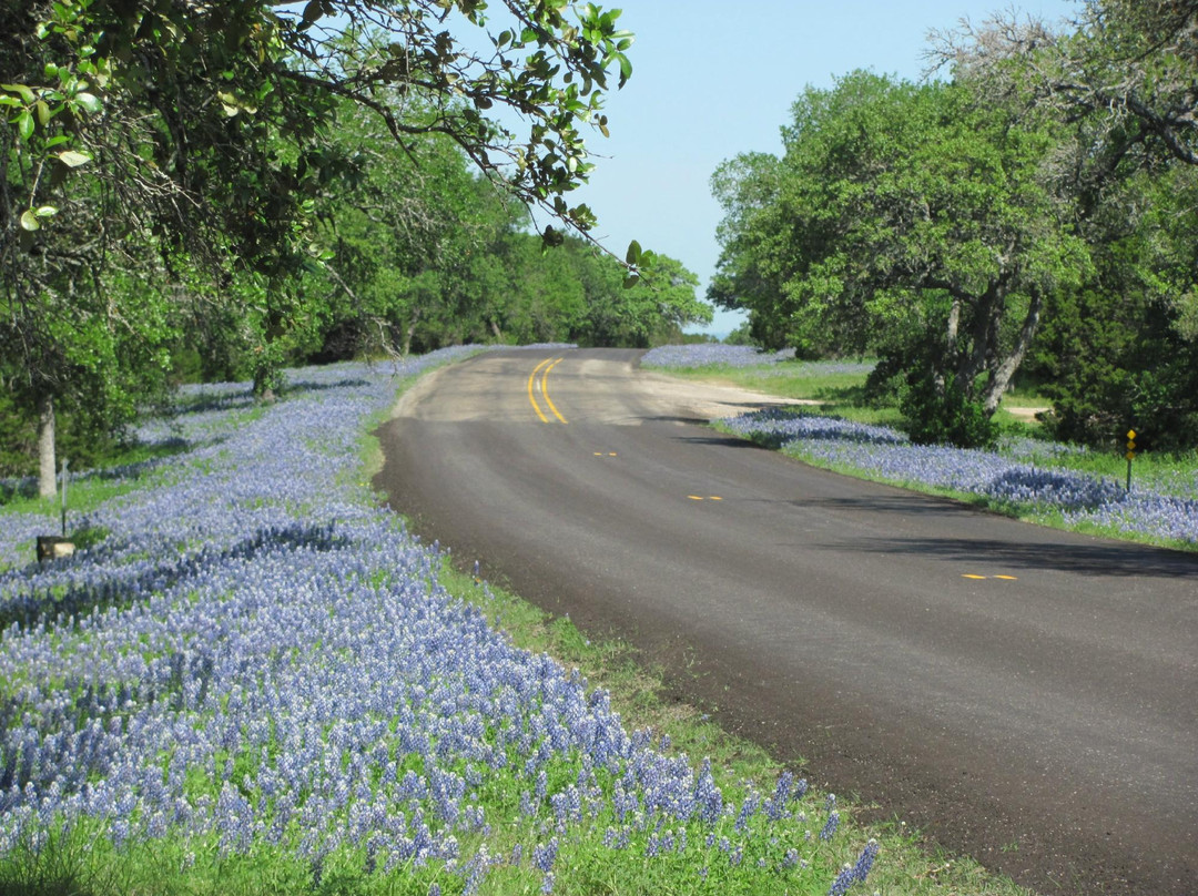 Longhorn Cavern State Park-Burnet必去景点