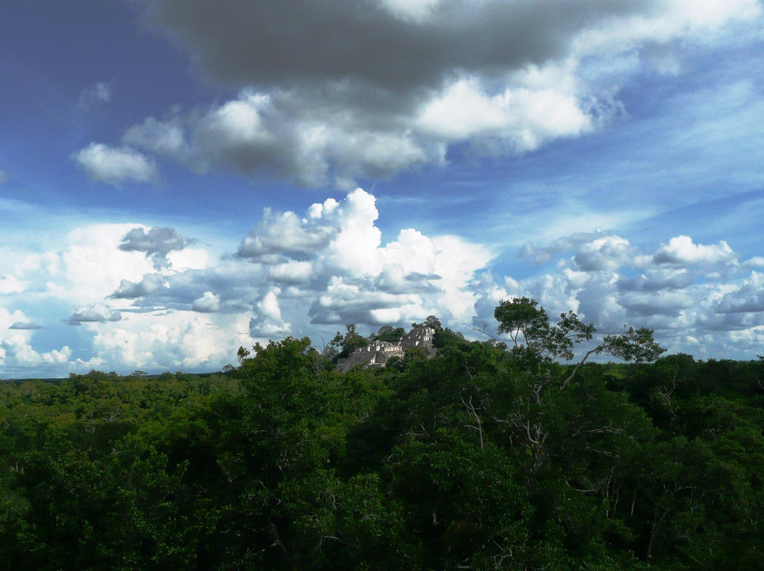 Ka'an Expeditions - Day Tours-卡拉克穆尔必去景点