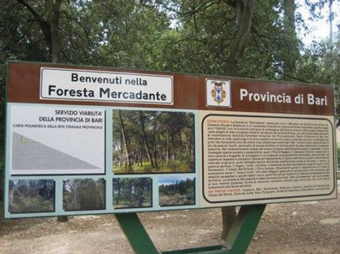 Foresta Mercadante-Cassano delle Murge必去景点