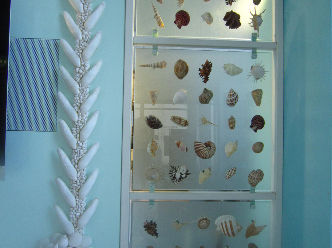 Nishinomiya Shell Museum-西宫市必去景点
