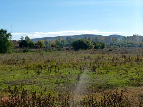 Gourmet Madrid Tours-马德里必去景点