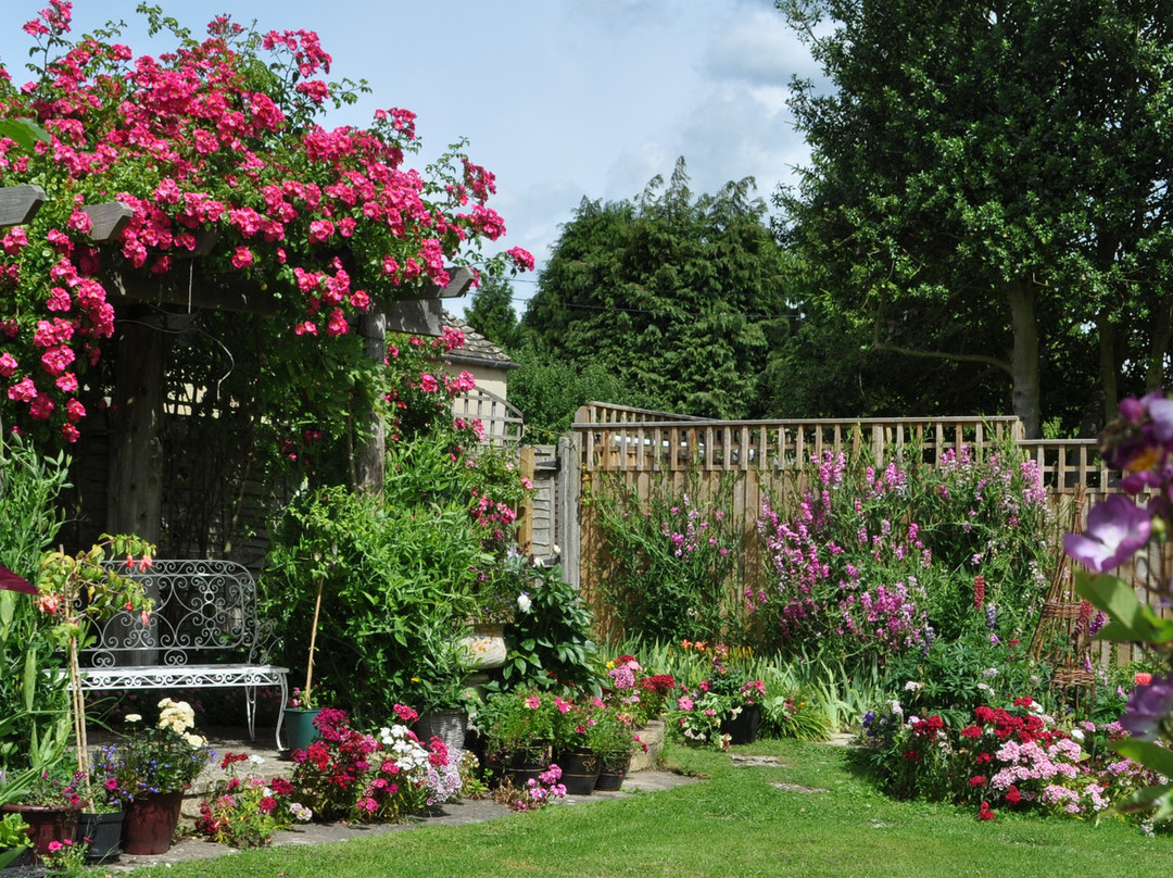 Courtlands B&B主图