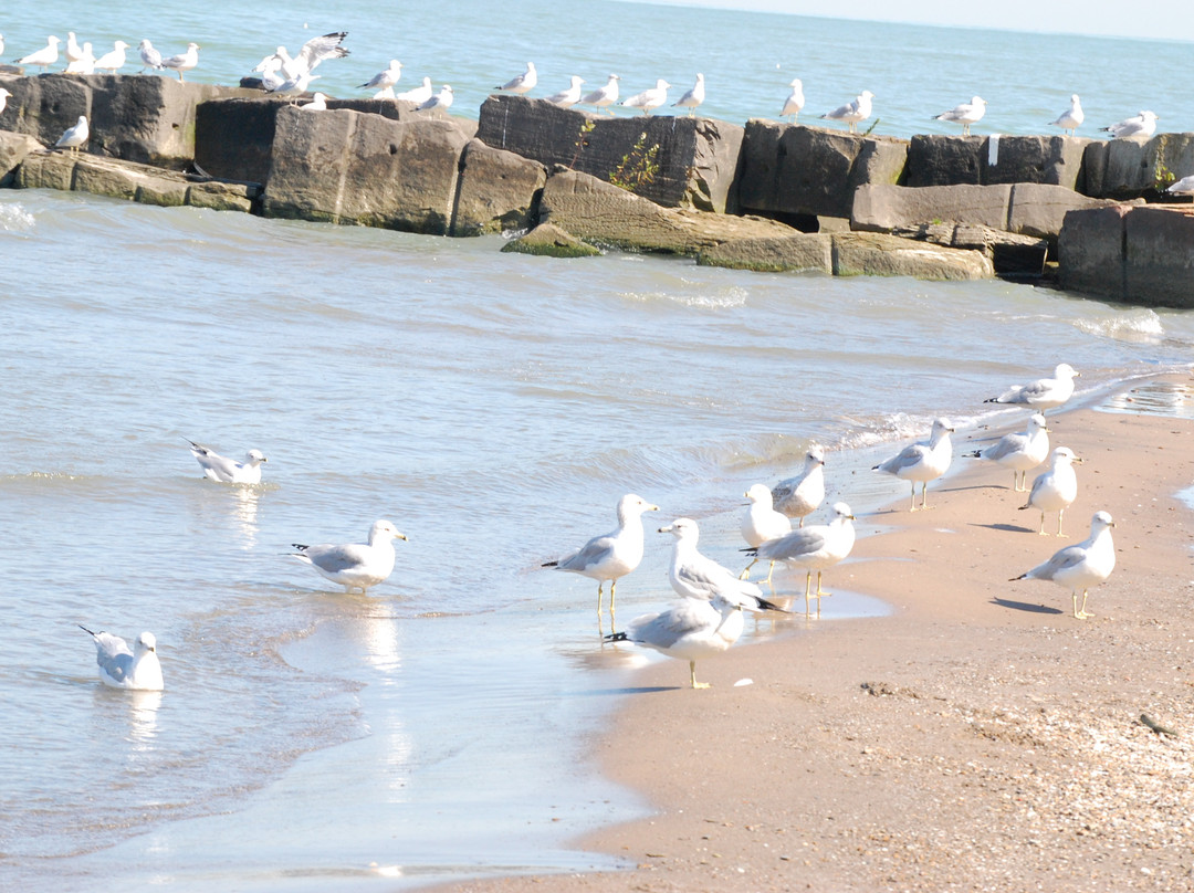 Huntington Beach-Bay Village必去景点