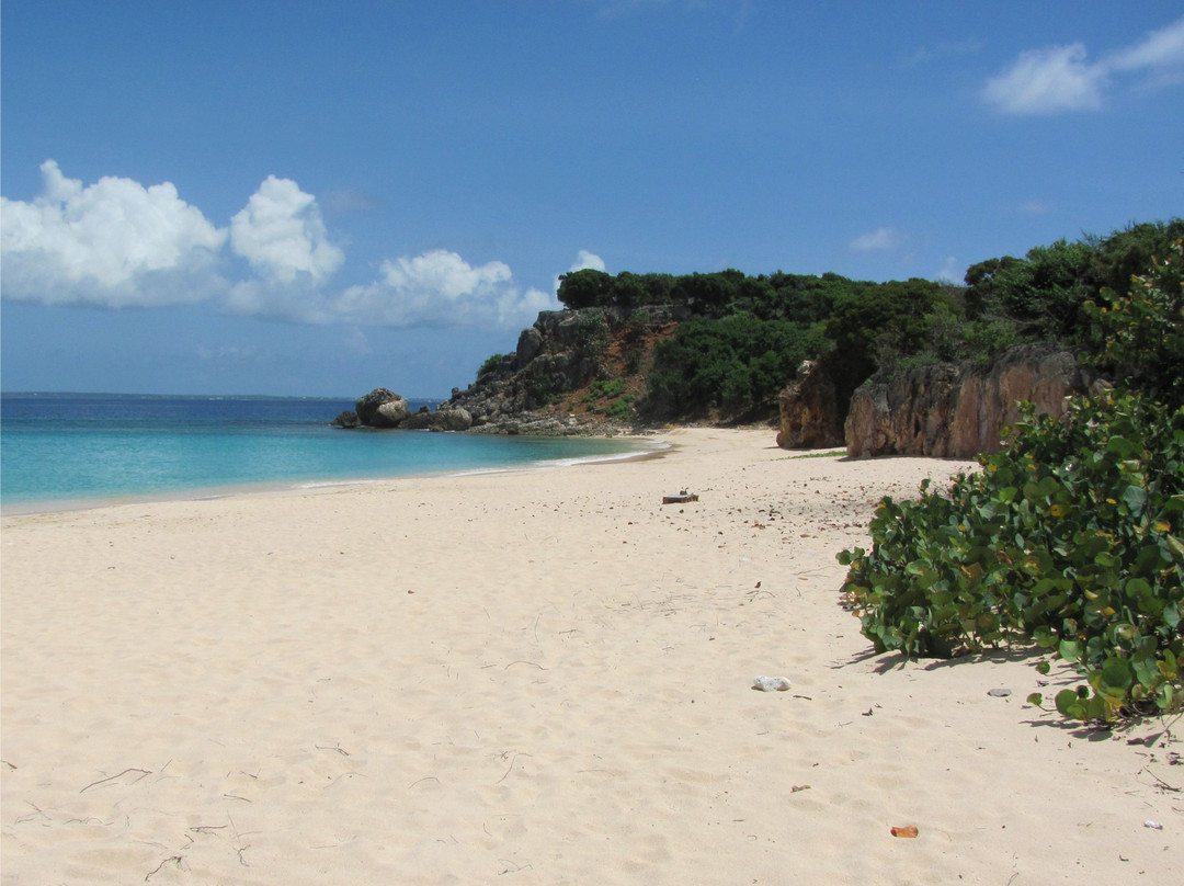 Tintamarre Island-圣马丁岛必去景点