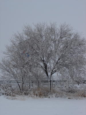 Hotel Vista Nevada主图