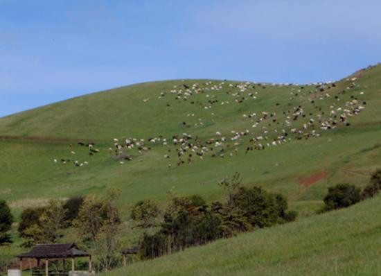 Museum at Coyote Hills-费利蒙必去景点