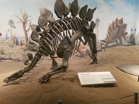 Legendary Travels Day Tours-卡尔加里必去景点