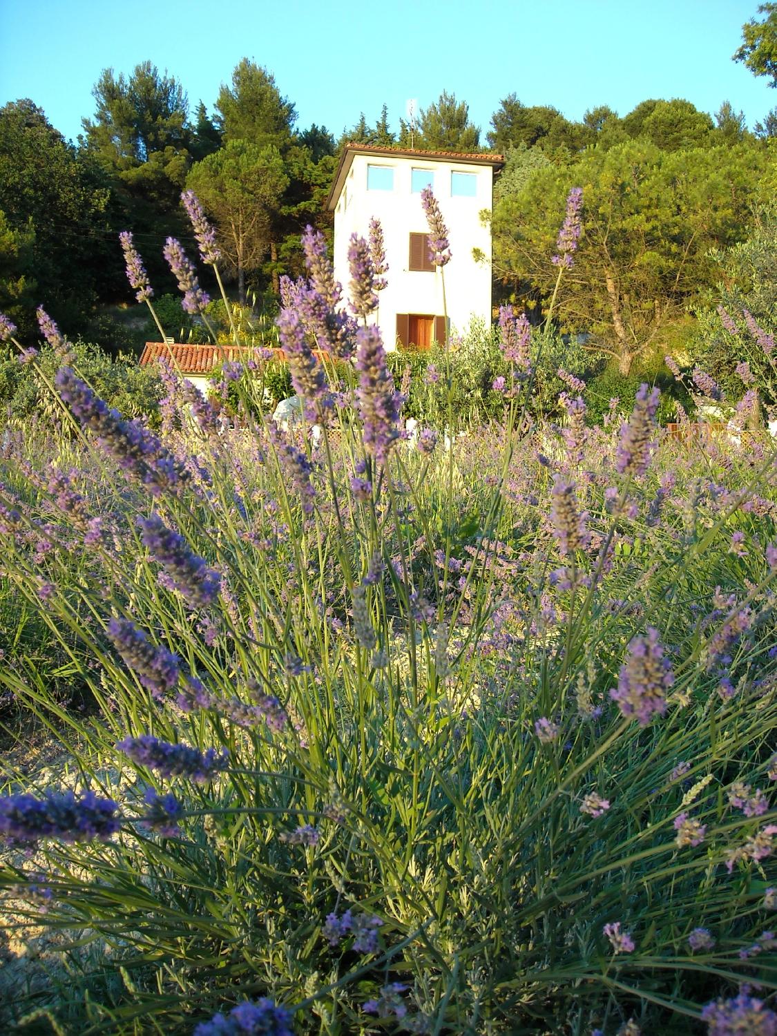 La Torre del Poggio-客卧