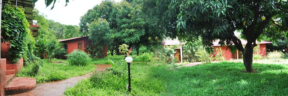Chaitanya Srushti