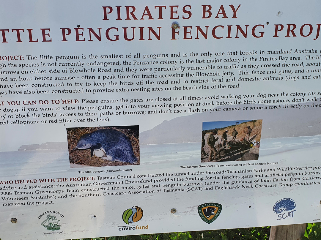 Pirates Bay Visitor Service Zone-伊格尔霍克内克必去景点