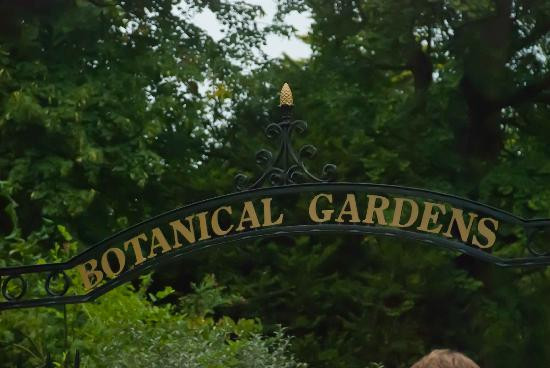 Botanical Gardens at Victoria Park-巴斯必去景点