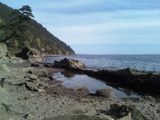 Clayton Beach-贝灵厄姆必去景点