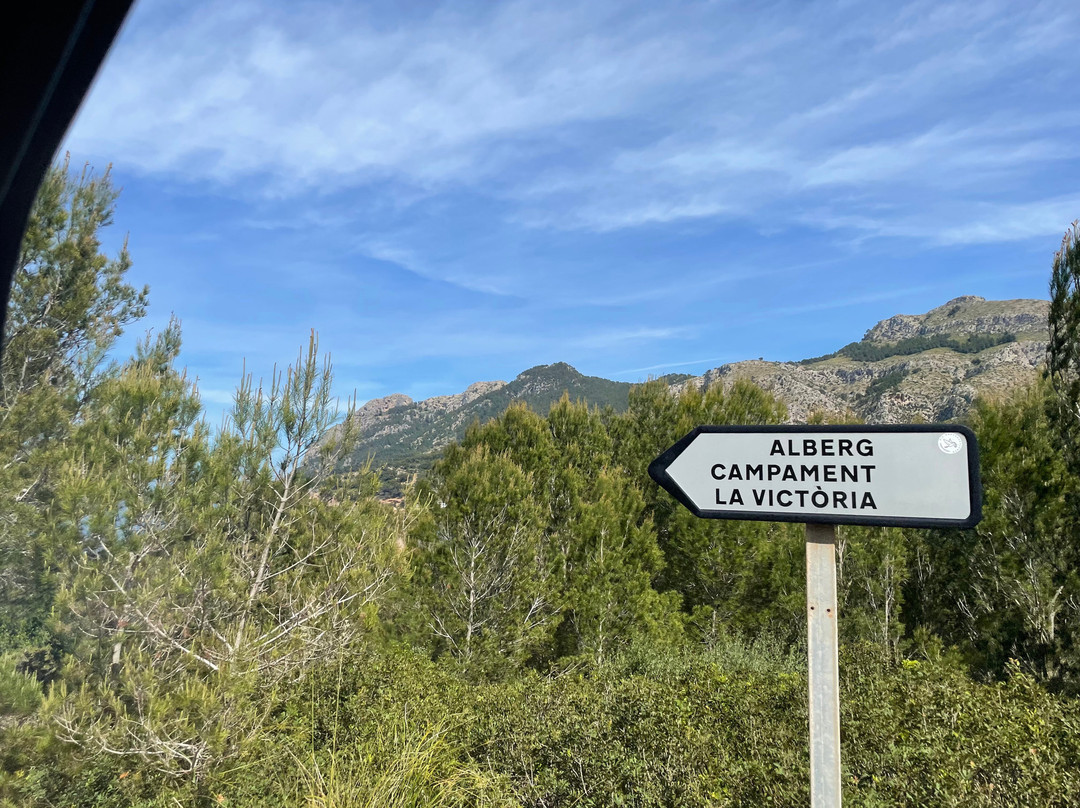 Buggy Mallorca Tours景点图片