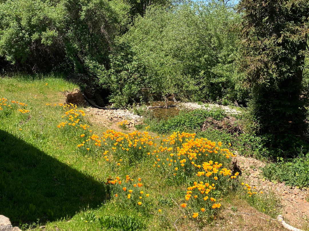 Vincent Arroyo Winery-卡利斯托加必去景点