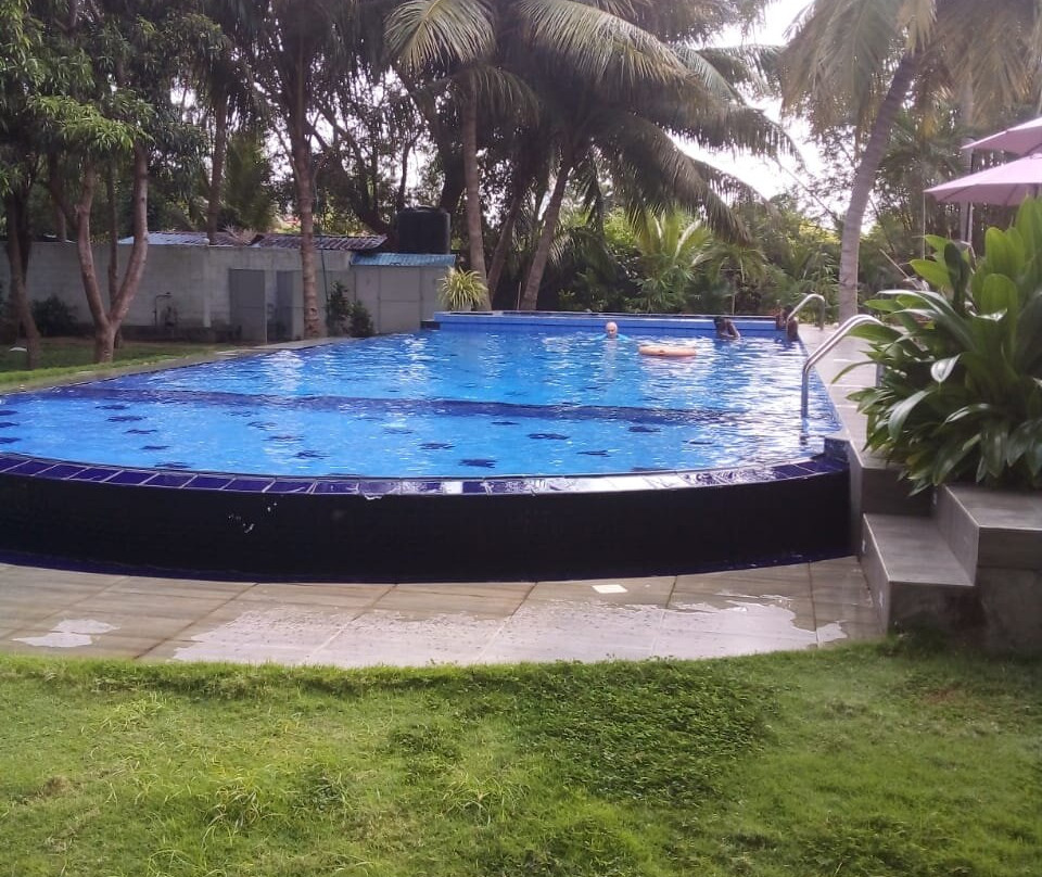 Palm Grove Holiday Inn主图