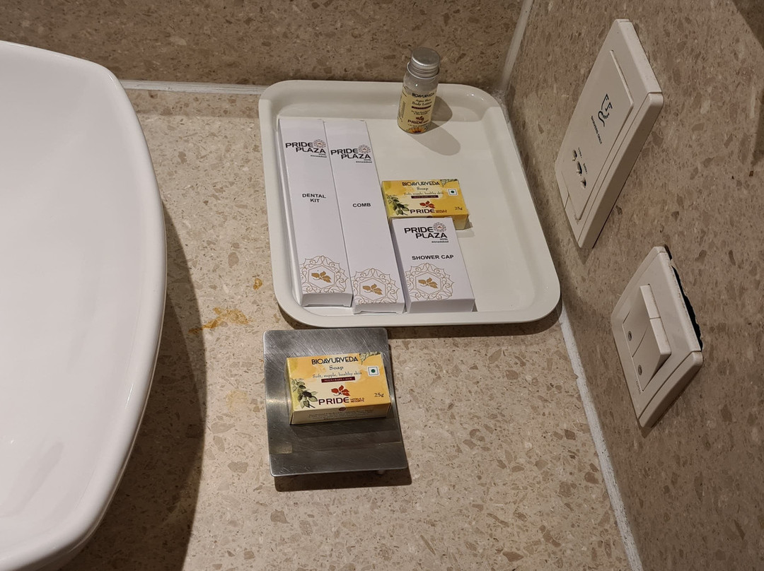 艾哈迈达巴德酒店主图