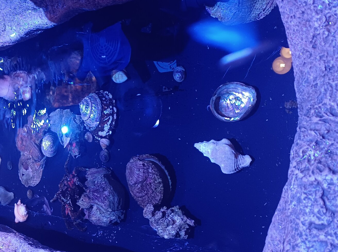 California Living Museum-贝克斯菲尔德必去景点