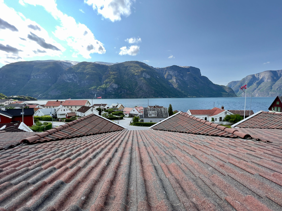 Hotel Aurlandsfjord主图