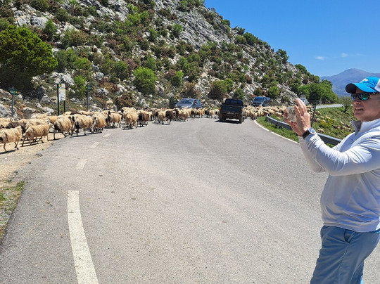 Tours in Heraklion-伊拉克利翁必去景点