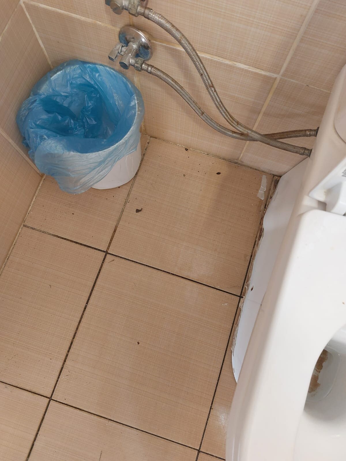 Misal Hotels Noxinn Club-泳池