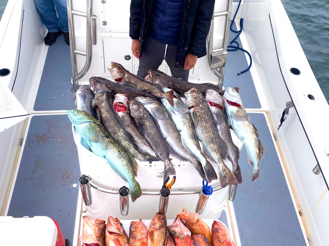 Brothers Sport Fishing - San Diego Fishing Charters景点图片