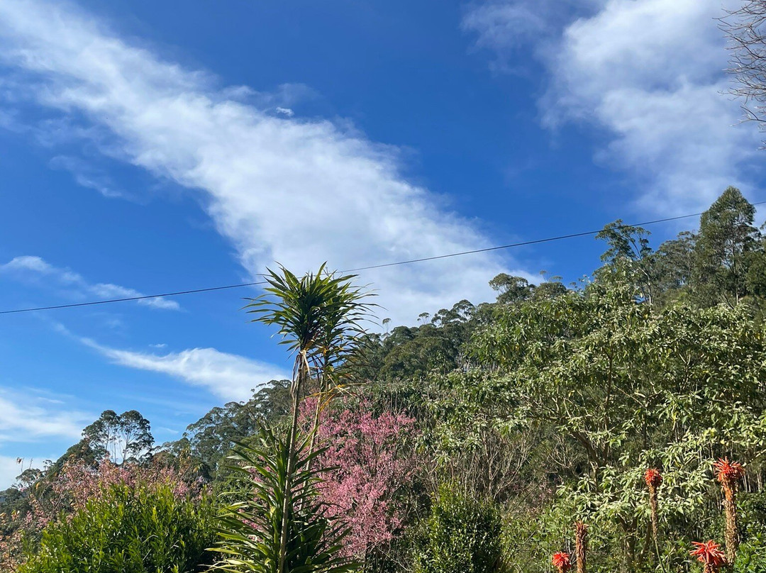 Pousada Alto do Vale主图