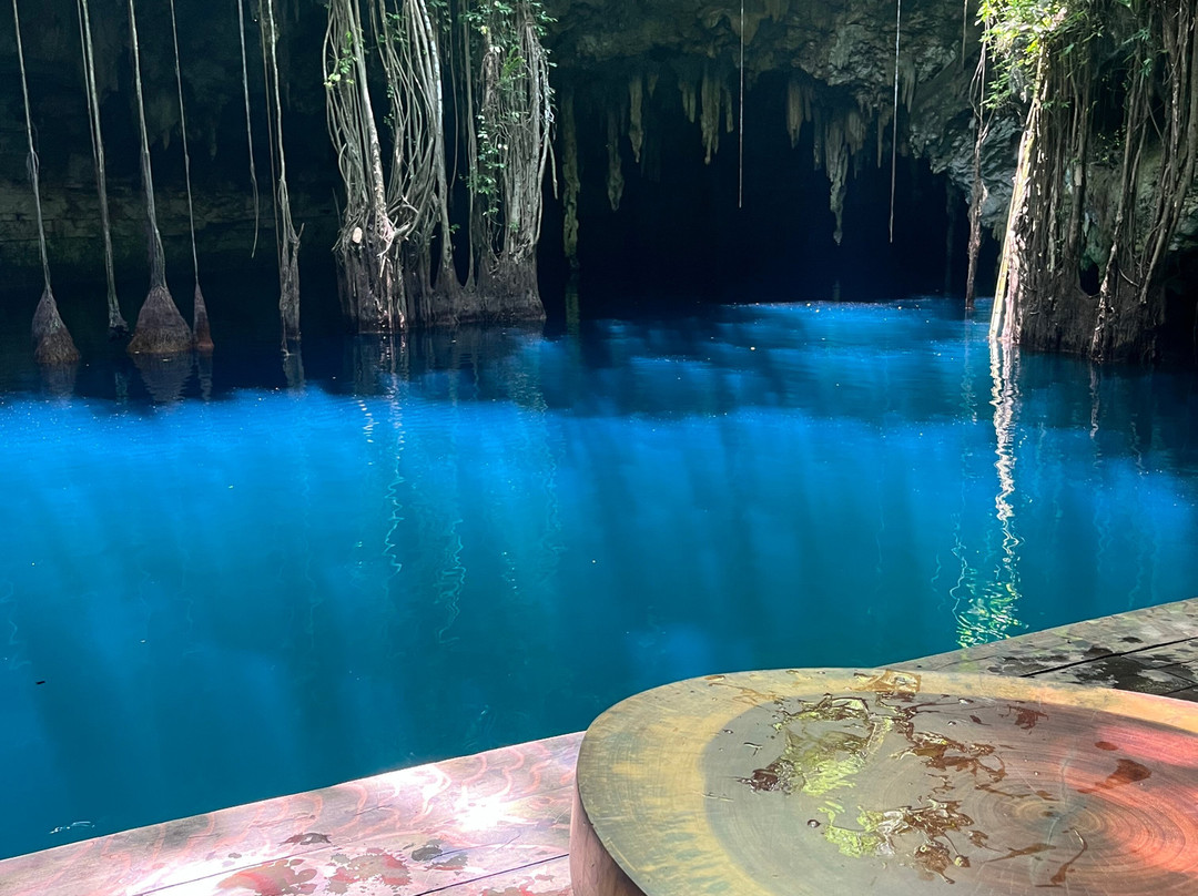 Experiencia Privada en Cenote Exclusivo景点图片