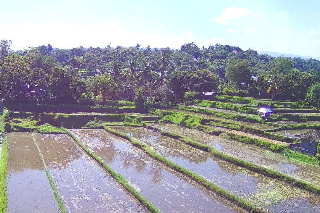 Taman Bidadari Waterfall (Subak Pohasem)景点图片