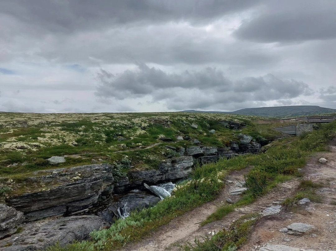 Rondane National Park-Eastern Norway必去景点
