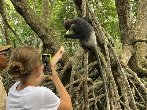 Asya Tours-卡卢特勒必去景点