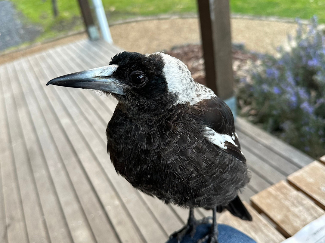 度阿顿斯度假村酒店主图