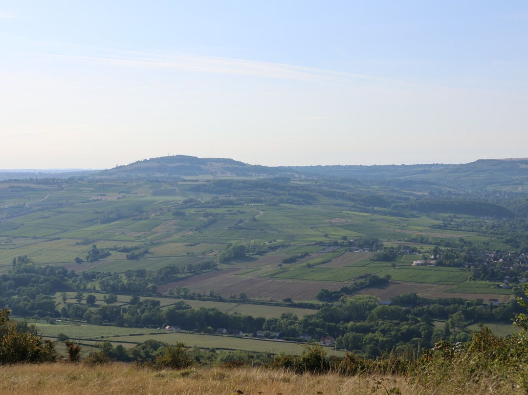 Site Archéologique de Chassey-le-camp景点图片