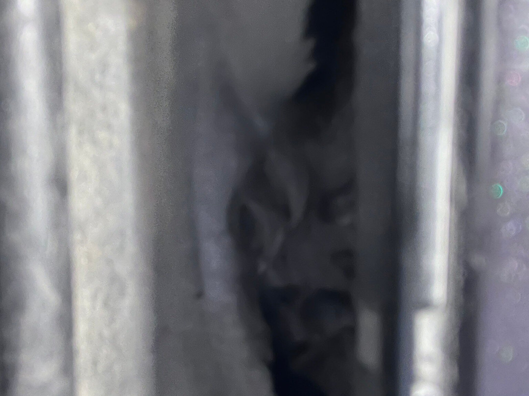 Capacity Alışveriş Merkezi-伊斯坦布尔必去景点