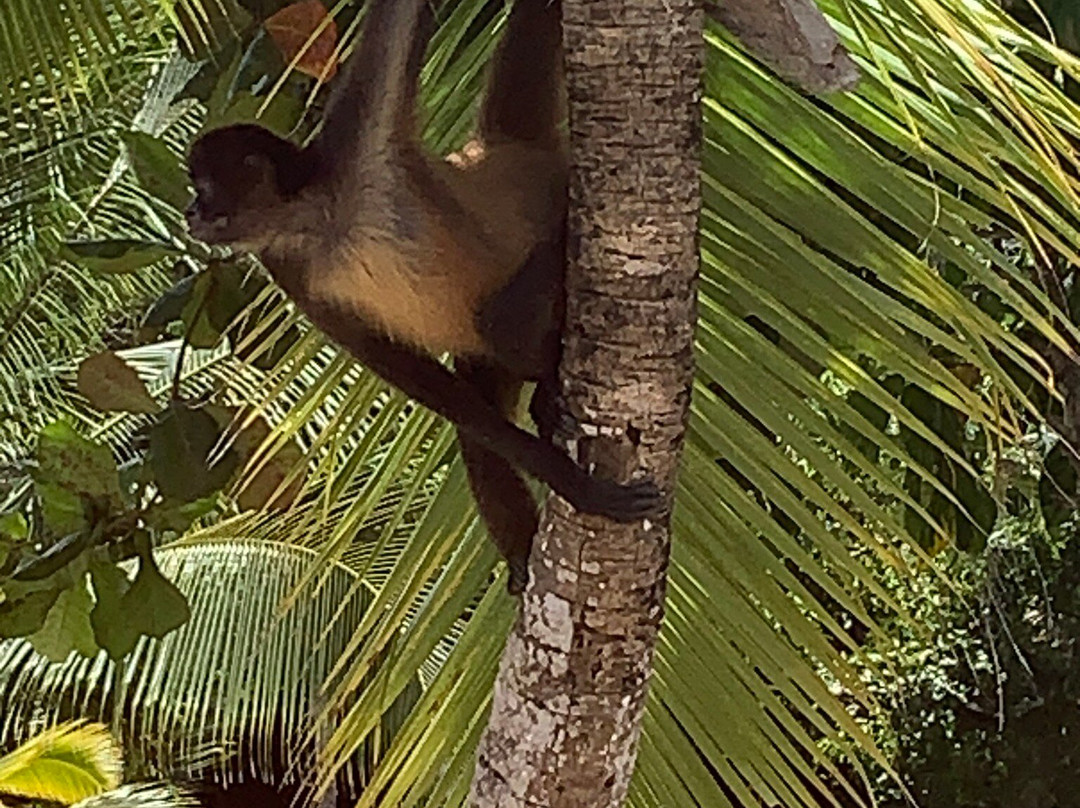 Tour’s & More PTY-巴拿马城必去景点