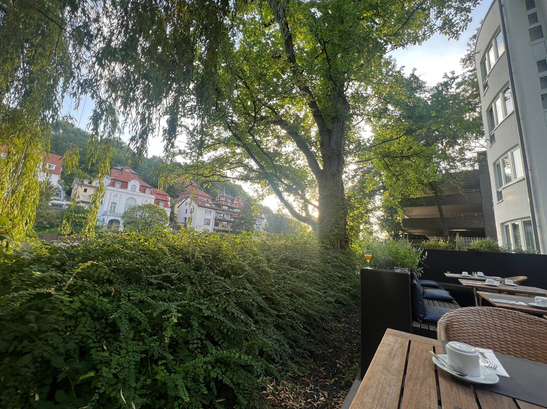 Domizil Tubingen主图