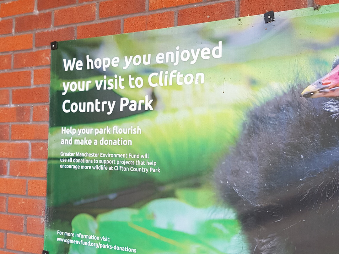 Clifton Country Park景点图片