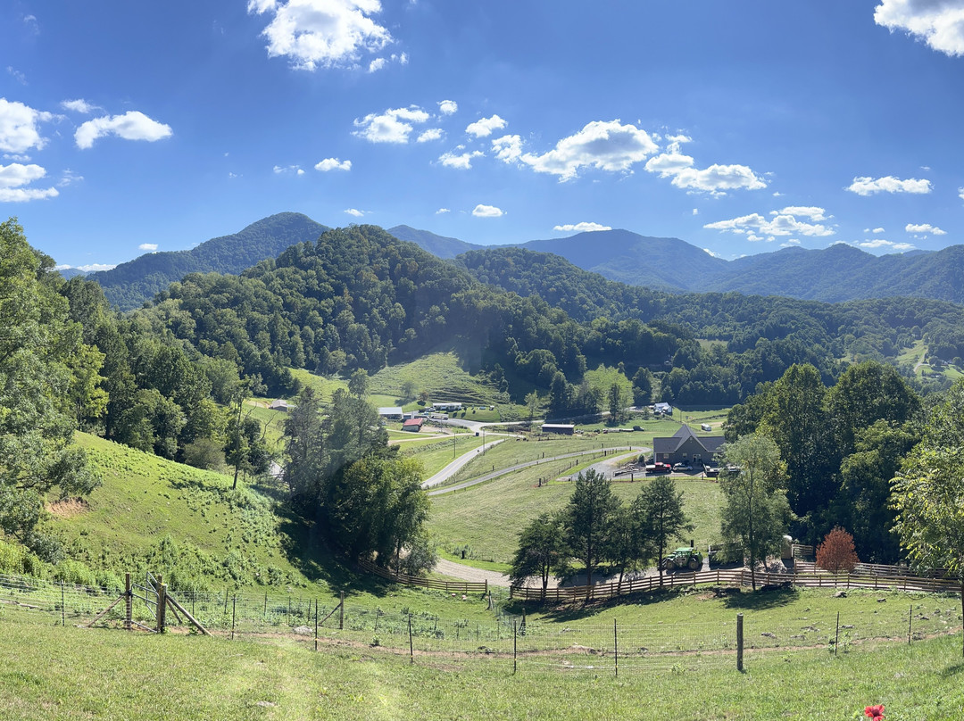 莓果 B&B 旅馆主图